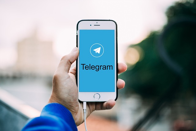 How to use the Telegram translator?